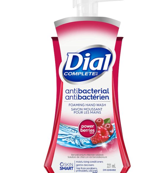 dial-antibacterial-hand-wash-berry-fragrance-for-safe-and-healthy-hoarding-2020-10-8