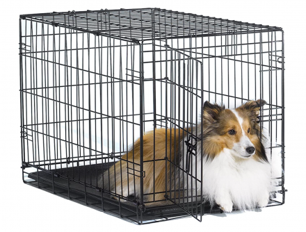 new-world-foldable-kennel-4989-for-medium-sized-dogs-2020-7-2